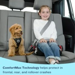 BubbleBum Booster Seat 11 BubbleBum Booster Seat -Pushchairs Store 71lvnavwcol. sl1500