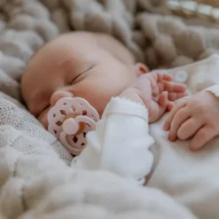 BIBS Boheme Latex Pacifiers - Blossom/Dusky Lilac - 2 Pack -Pushchairs Store bibs boheme pacifer 4