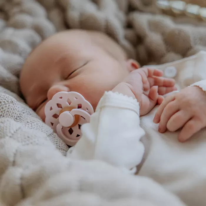 BIBS Boheme Latex Pacifiers - Woodchuck/Blush - 2 Pack 6 BIBS Boheme Latex Pacifiers - Woodchuck/Blush - 2 Pack - Image 4